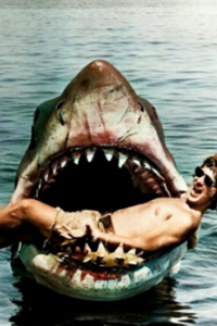 Jaws